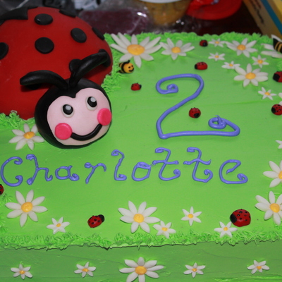 Ladybug Birthday Cake