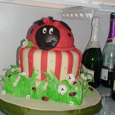 Spring In The Garden Ladybug Cake