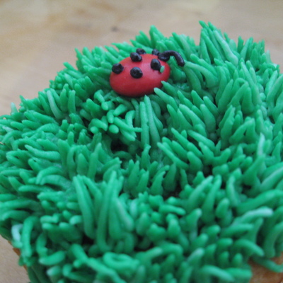 Ladybug In The Grass