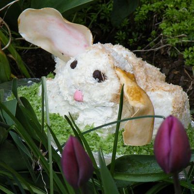 What's Easter Without A Bunny?