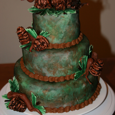 Camo Cake/woodsy