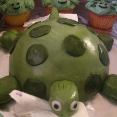 Mama Turtle