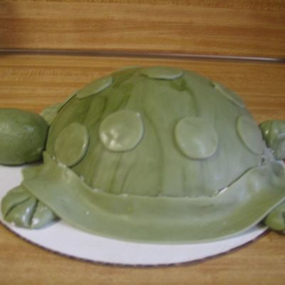 Moms Turtle