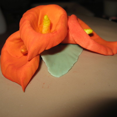 Orange Calla Lillies