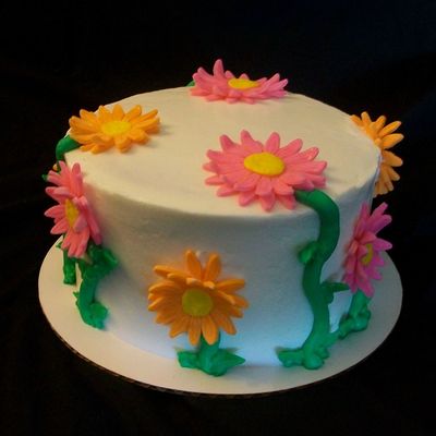 Pink And Orange Daisy's