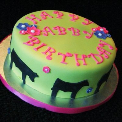 Show Steers And Show Pigs