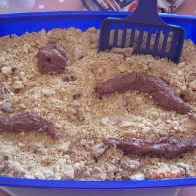 Cat Litter And Potty Cake!