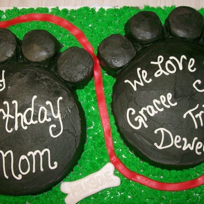 Dog Paws