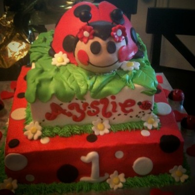 Ladybug