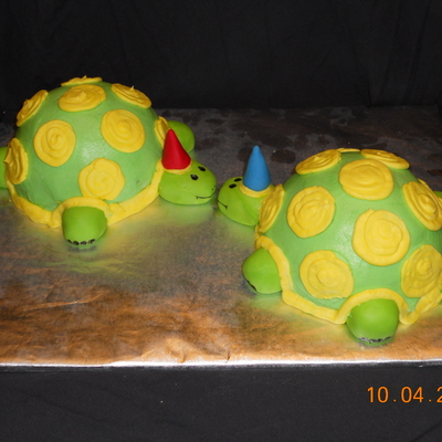Turtle Birthday