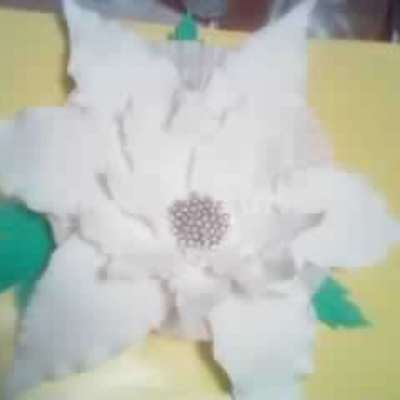 First Gumpaste Poinsettia