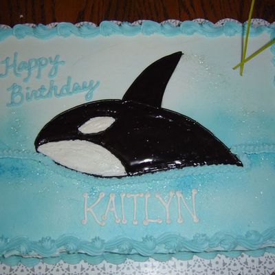 Killer Whale