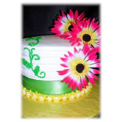 Whimsical Gerber Daisy Cake