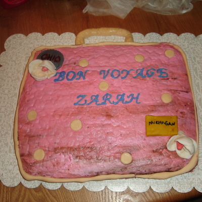 Bon Voyage Pink Suitcase