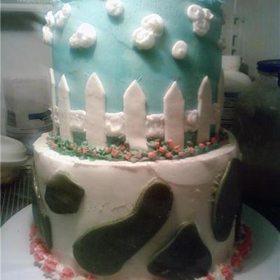 Baby Shower Country Cake
