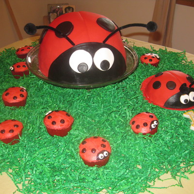Ladybug Cakes
