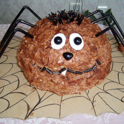 Spider