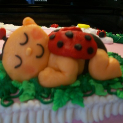 Ladybuyg Baby Shower