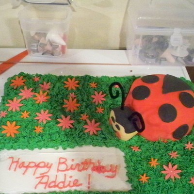 Ladybug Cake