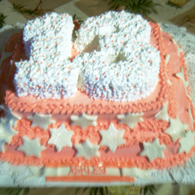 Ashley's Bday