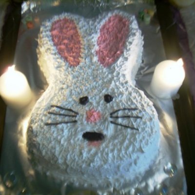 Bunny