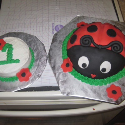 Ladybug Cake And Smash Cake