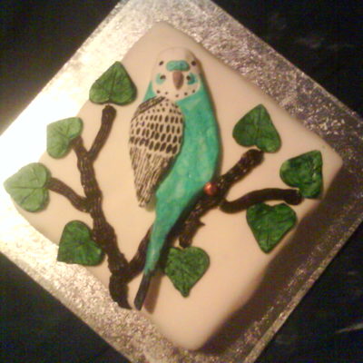 Budgie Cake