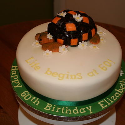 Tortoise Cake!