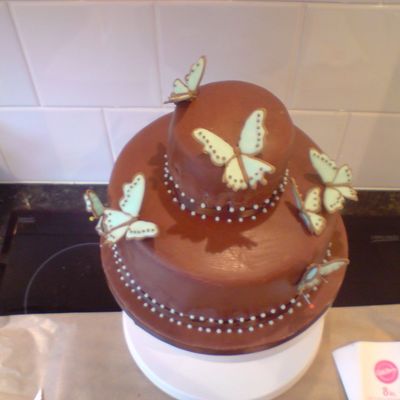 Chocolate Butterfly Cake