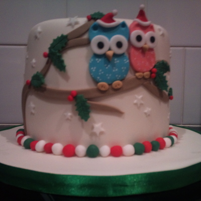 Owl, Christmas 2010