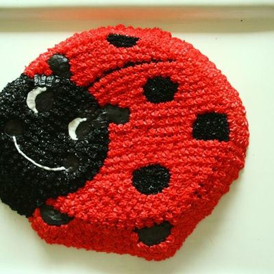 Ladybird Cake