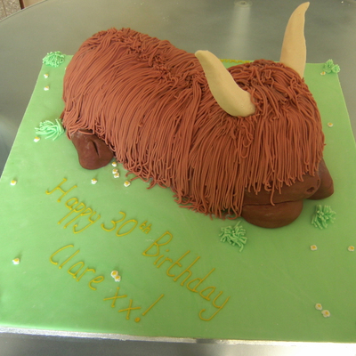 Highlands Cow Cake