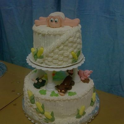 Wilton Course 3 Final Cake