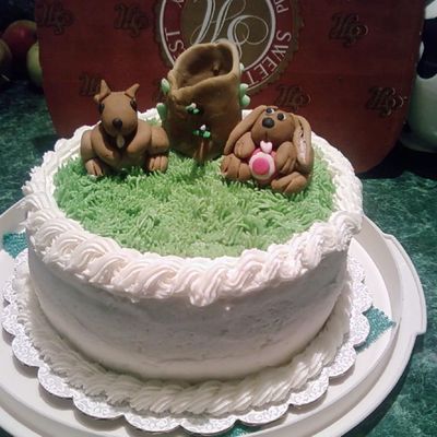 Better Luck Next Time