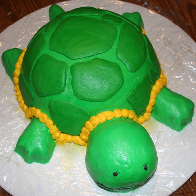 Turtle
