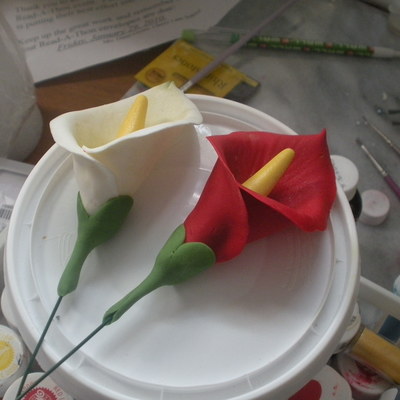 My 1St Calla Lillies