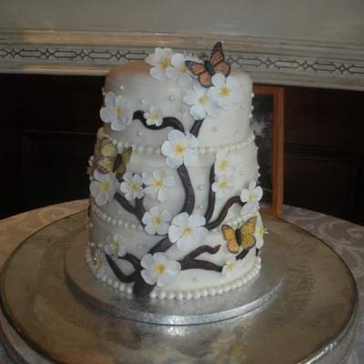 Cherry Blossoms & Edible Butterflies