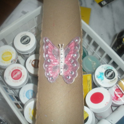 1St Butterfly