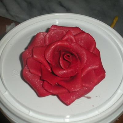 My First Rose
