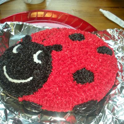Lady Bug Cake