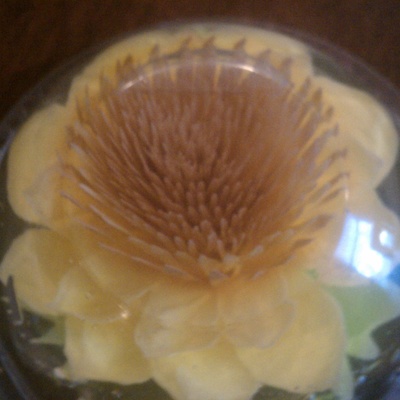 Gelatin 3D Flowers