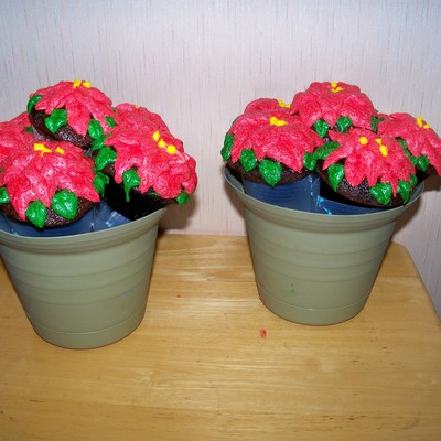 Poinsettia Cupcake Bouquet