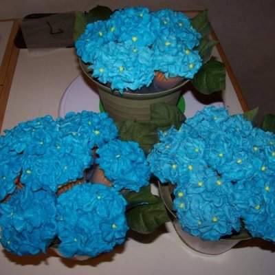 Blue Cupcake Bouquet