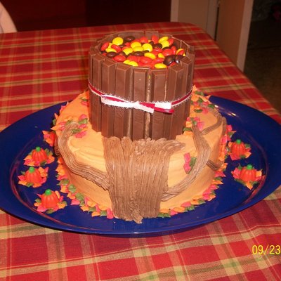 Fall Harvest Cake