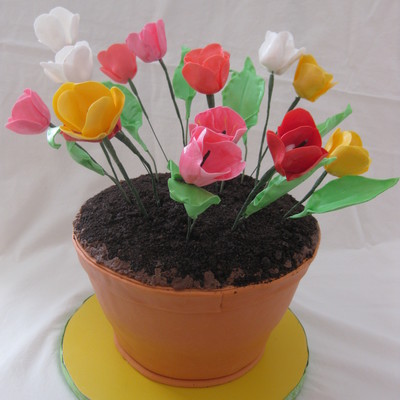 Tulips And Terra Cotta