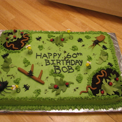 Bug Birthday Cake For Exterminator