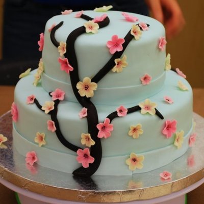Cherry Blossom Cake