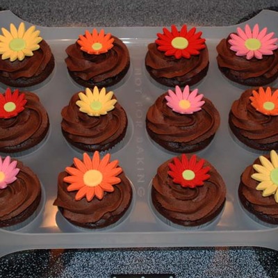 Daisy Cupcakes