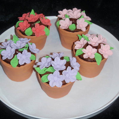 Flower Pot Mini Cakes!