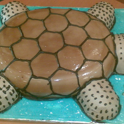 Tortoise